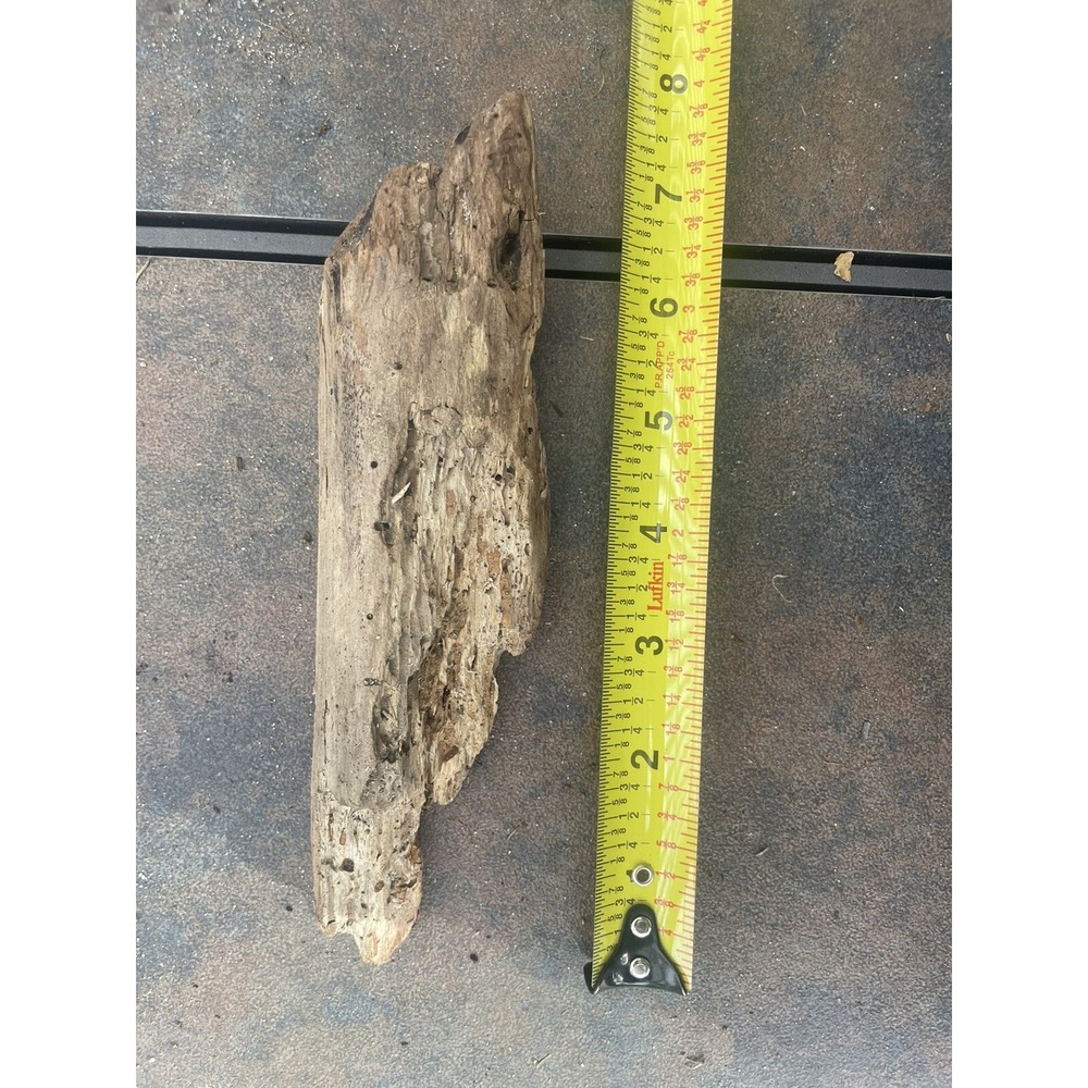 Natural Driftwood for Plants Terrarium Taxidermy Art Projects - Picture 3 of 4